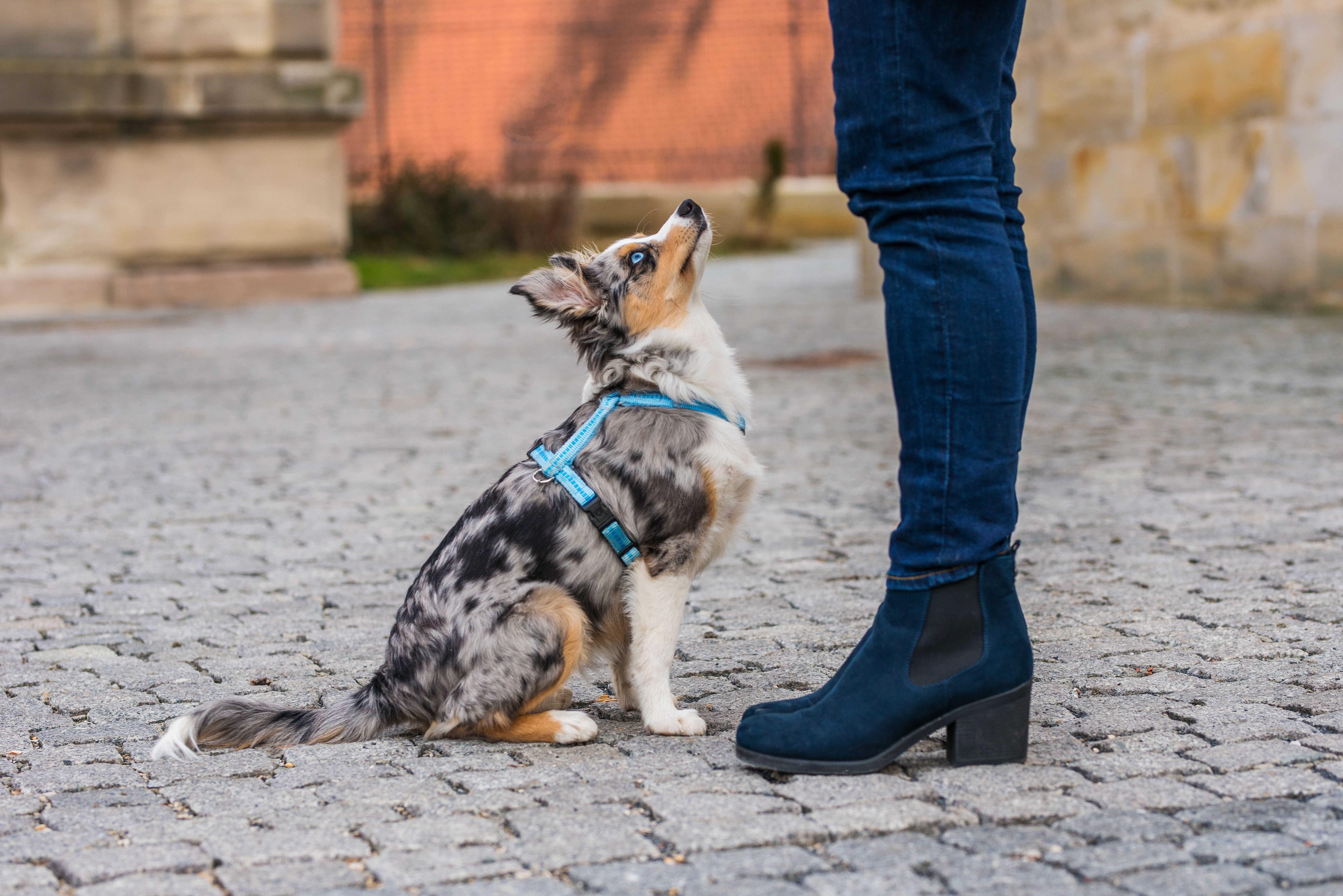 Course Image Kostenloser Schnupperkurs