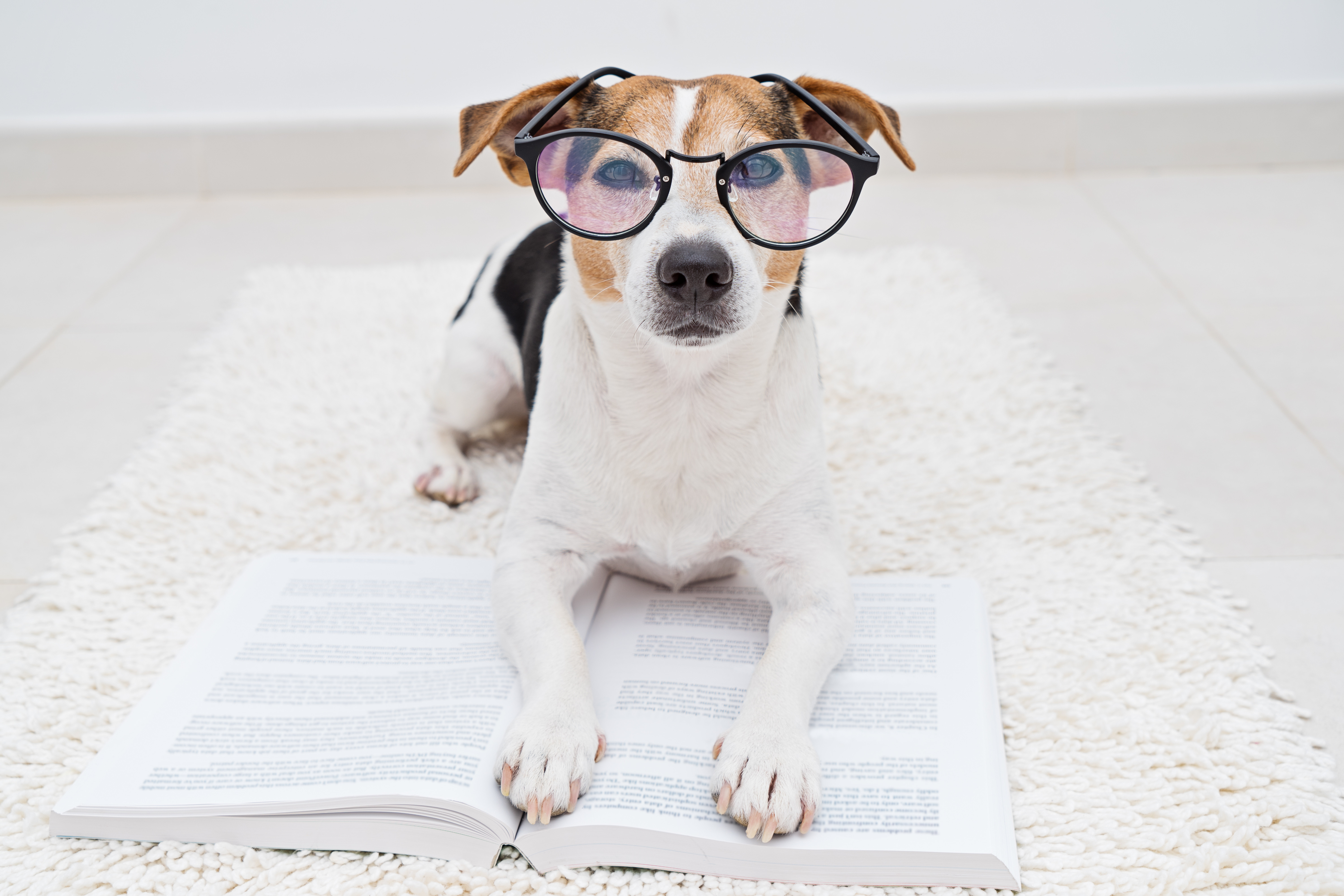 Course Image Obligatorische Theorieprüfung Zürich deutsch Version 5