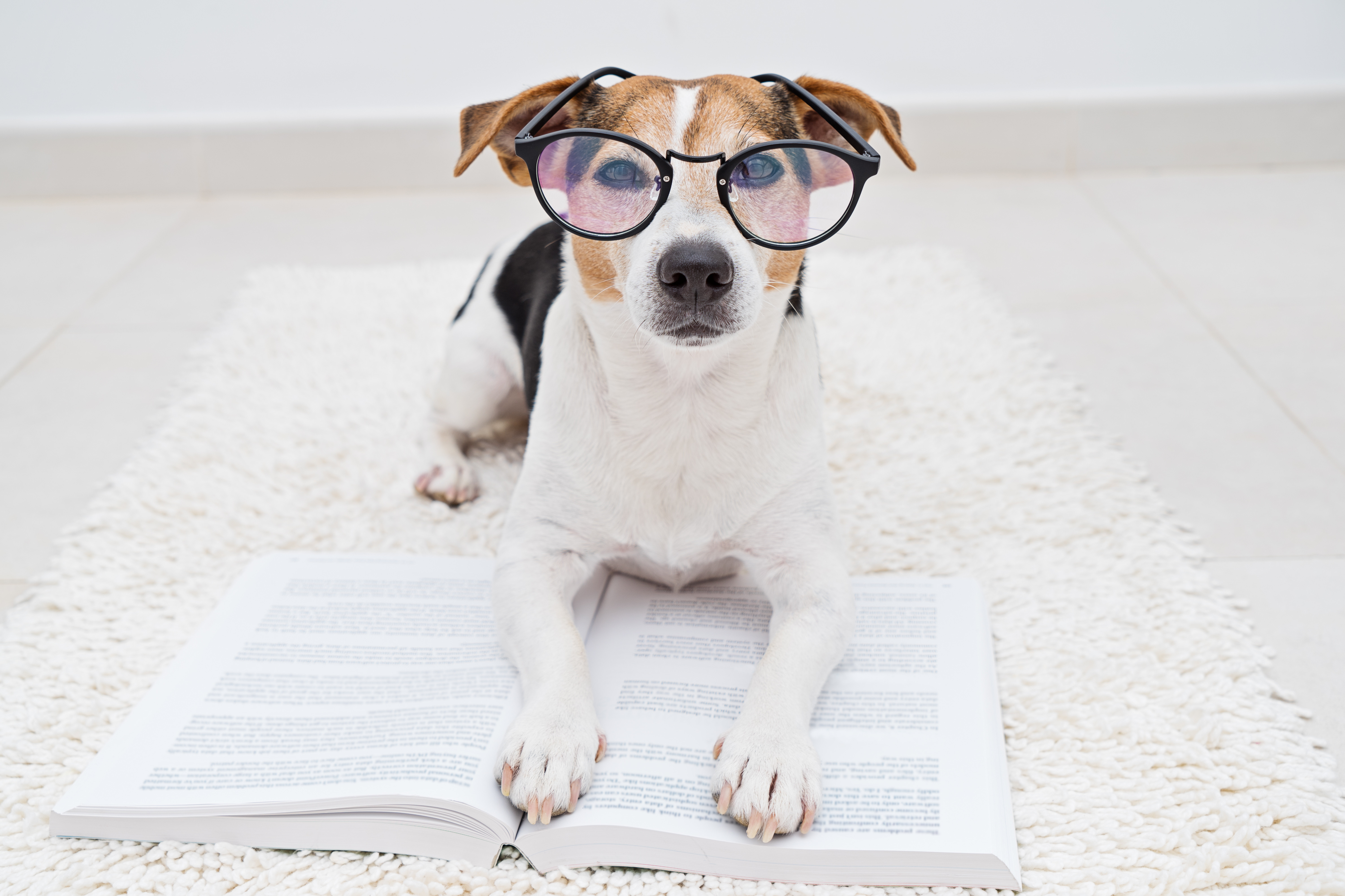 Course Image Obligatorische Theorieprüfung Zürich deutsch Q2/26